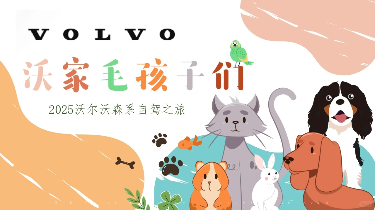 2025沃尔沃春季萌宠乐园试驾活动方案-策划岛