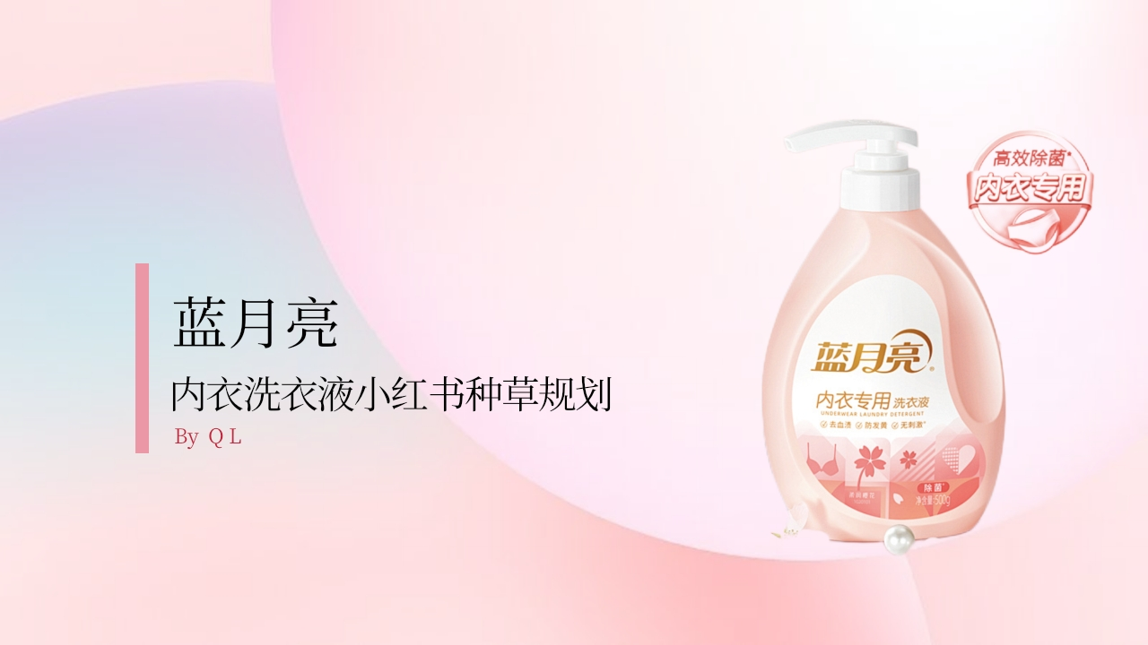 蓝月亮洗衣液小红书种草规划-策划岛