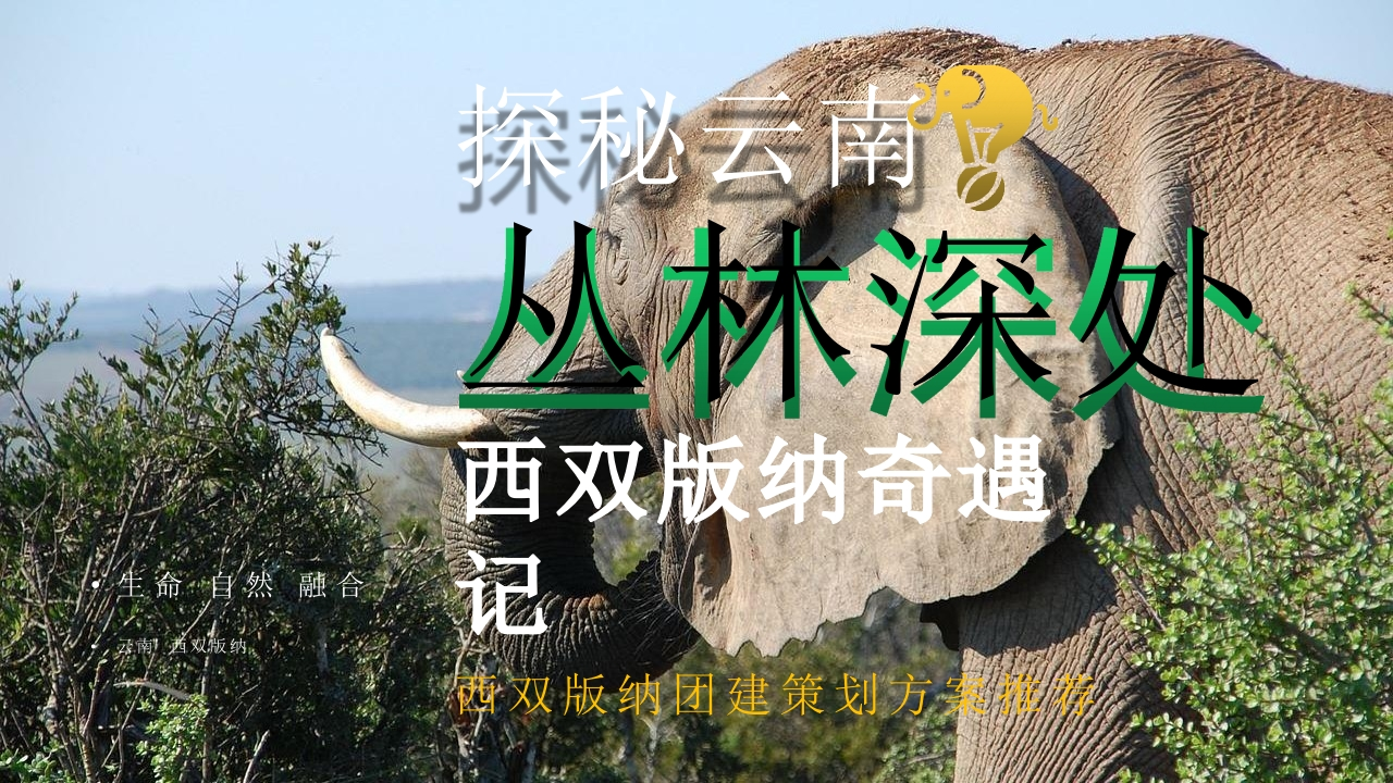 西双版纳高端团建活动策划方案-策划岛